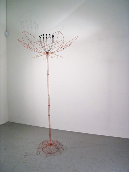 Oliver, Theo  Kaccoufa , 2006