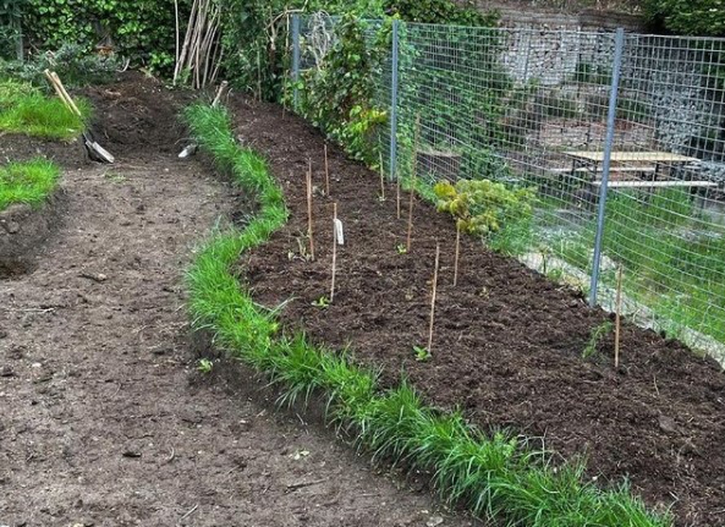 Forest Hill Library Community Garden