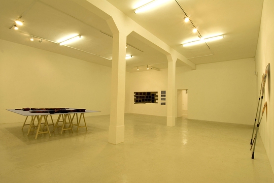 Fernando Marques Penteado Promised Lands installation view (2009)