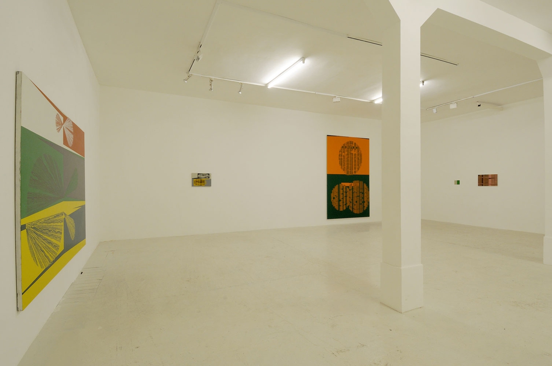 Images in the Vaguest Sense installation view