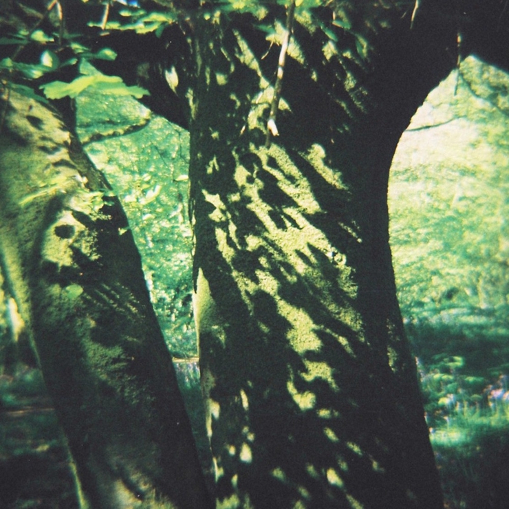 Forest Hill Folk Tales