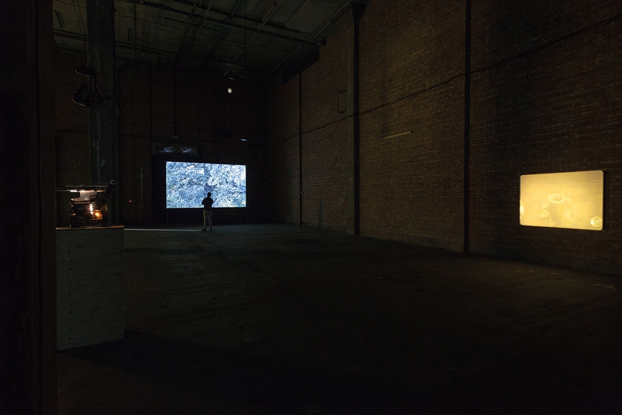 Installation View 2012,  Various , 2012