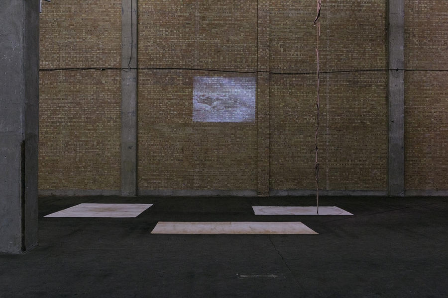 Installation View 2013, Hannah Lees , 2013